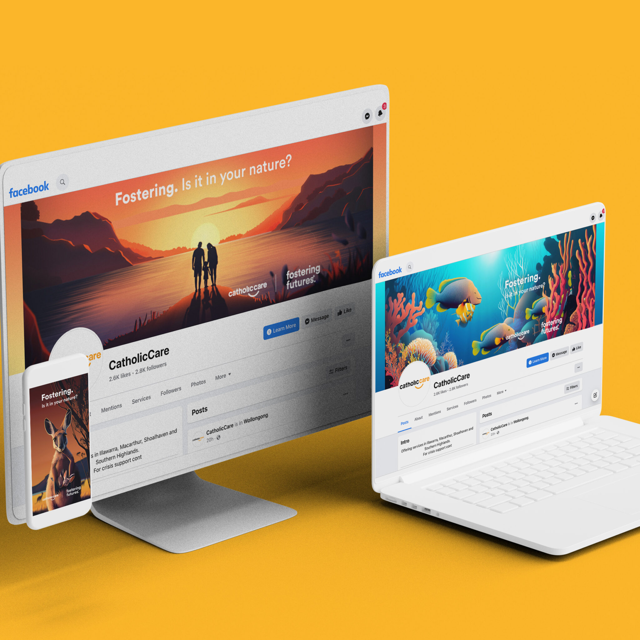 socialpack-FF